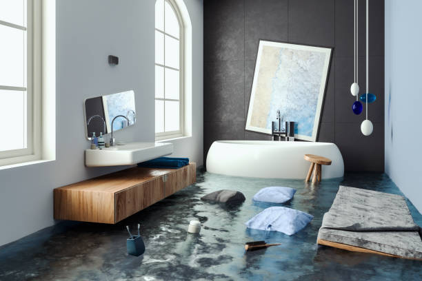 Best Local water damage restoration  in Novato, CA