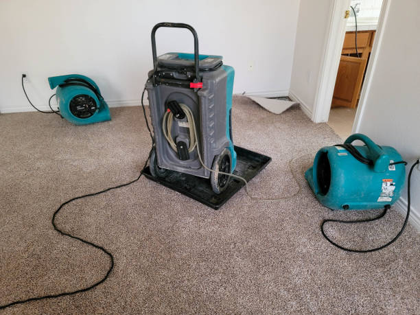 Best Water damage restoration near me  in Novato, CA