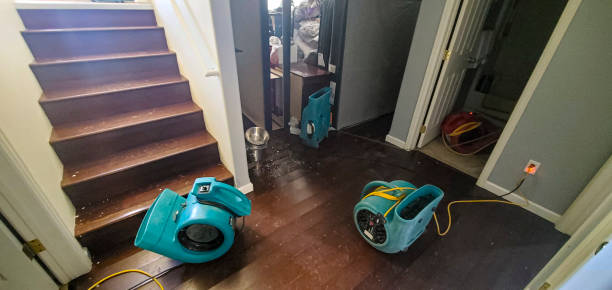 Best Water damage contractors near me  in Novato, CA