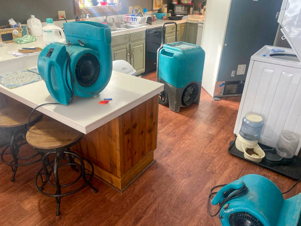 Best Carpet water damage restoration  in Novato, CA