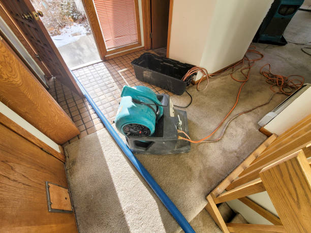 Best Basement water damage restoration  in Novato, CA