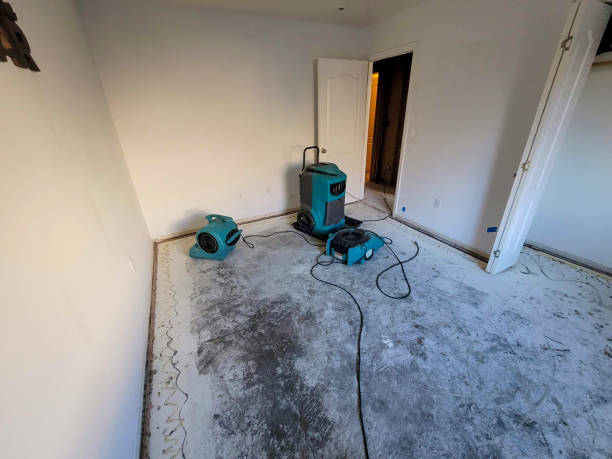 Best Water damage restoration specialists  in Novato, CA