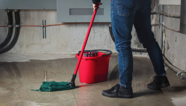 Best Water damage repair service  in Novato, CA
