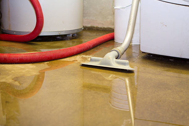 Best Emergency water damage restoration  in Novato, CA