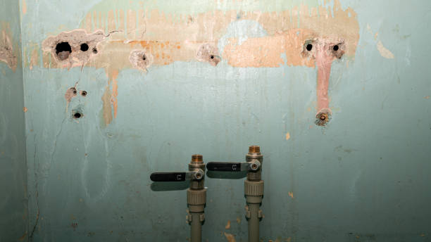  Novato, CA Water damage restoration Pros