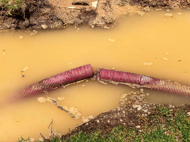 Best 24/7 water damage repair  in Novato, CA