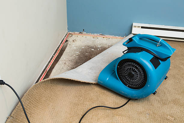 Best Commercial water damage restoration  in Novato, CA