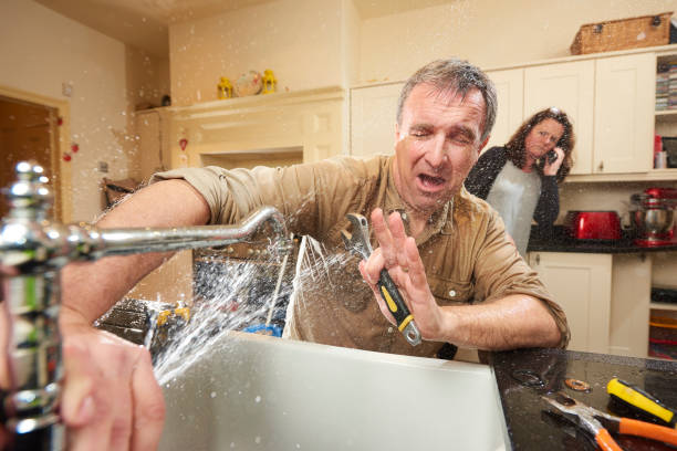 Best Fire Damage Restoration  in Novato, CA